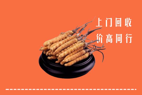 高价求购：清城回收散虫草