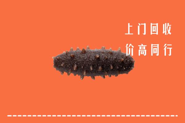 清城回收海参
