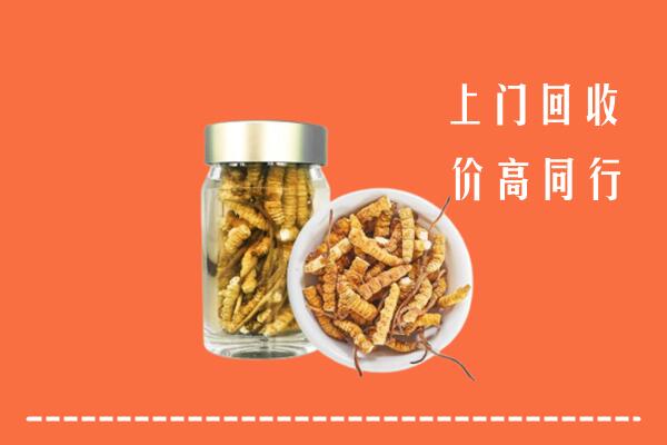 清城回收冬虫夏草